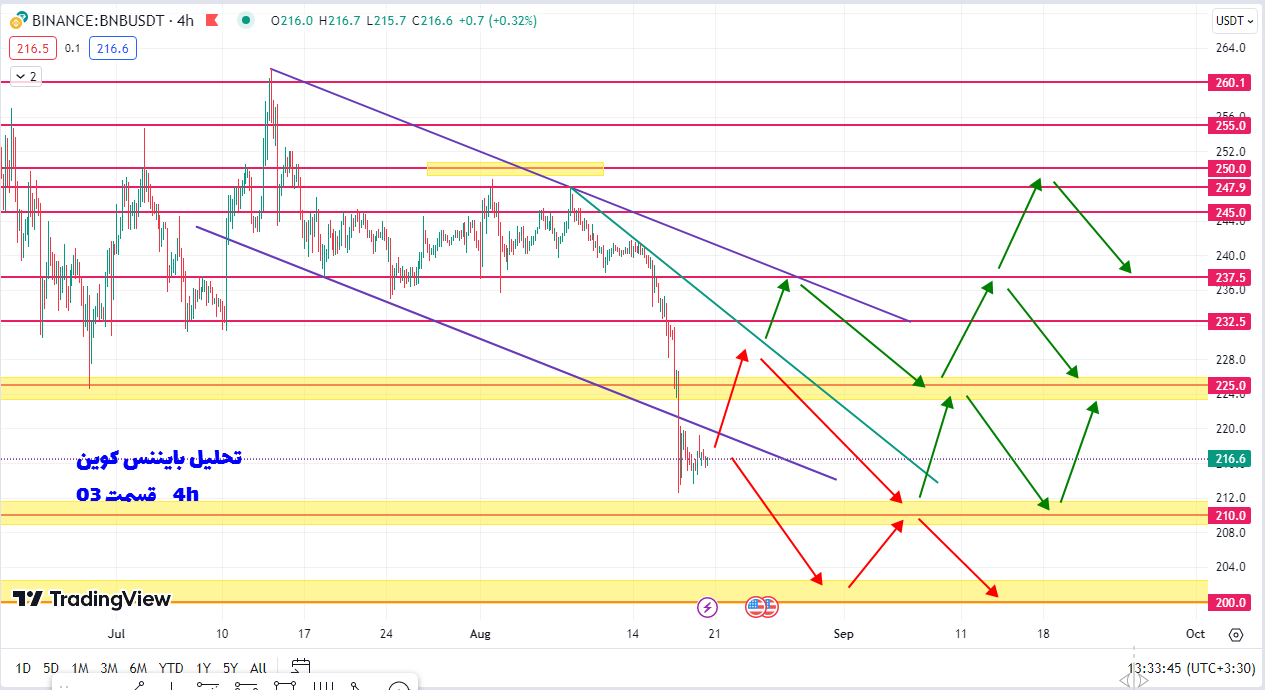 ریزش ۳۰ درصدی بایننس کوین با سناریوی قرمز رنگ | تحلیل بایننس کوین | قسمت 03 | 29 مرداد 1402