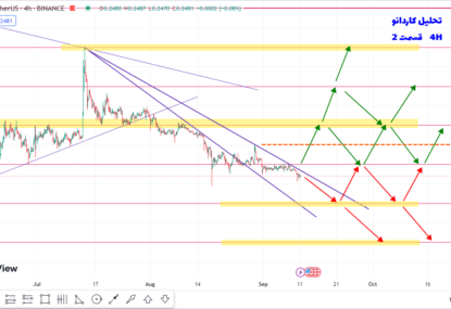 پیش بینی سود ۱۰ تا ۲۵ درصدی کاردانو چطوریه؟ | تحلیل کاردانو | قسمت 2 | 20 شهریور 1402