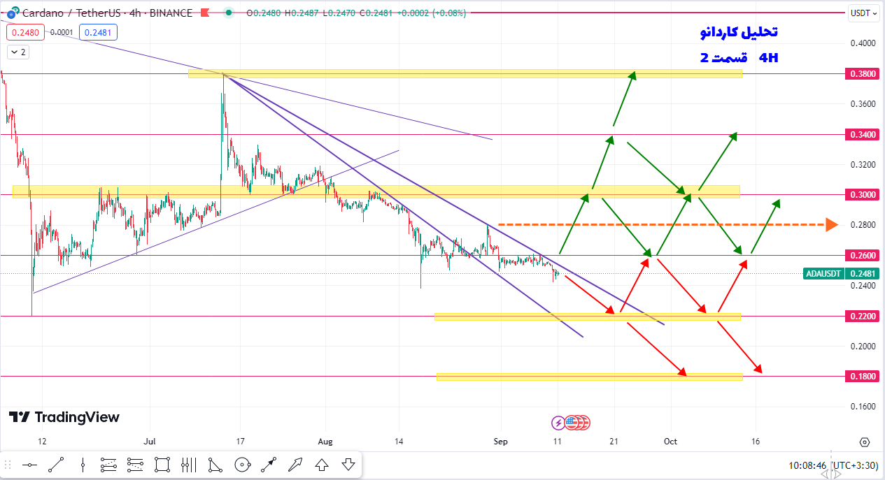 پیش بینی سود ۱۰ تا ۲۵ درصدی کاردانو چطوریه؟ | تحلیل کاردانو | قسمت 2 | 20 شهریور 1402