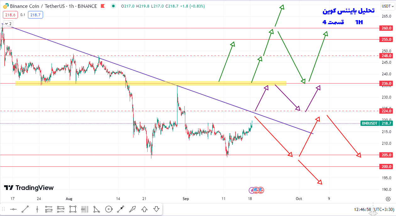 سناریوی کسب سود ۸ تا ۱۲ درصدی از بایننس کوین چطوریه / تحلیل بایننس کوین / قسمت چهارم | ۲۷ شهریور ۱۴۰۲