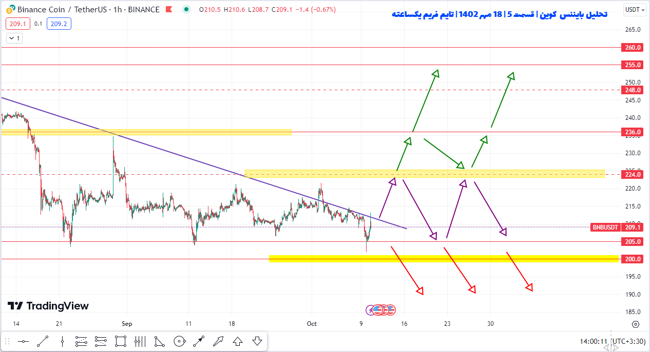 پیش بینی سود ۵ تا ۱۵ درصدی بایننس کوین چطوریه؟ | تحلیل بایننس کوین | قسمت پنجم | ۱۹ مهر ۱۴۰۲