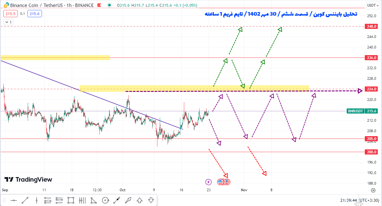 پیش بینی سود ۵ تا ۱۰ درصدی باینانس کوین چطوریه؟ | تحلیل بایننس کوین | قسمت ششم| ۳۰ مهر ۱۴۰۲
